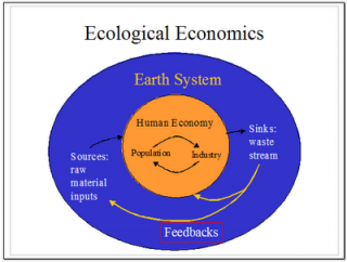 Ecological Economic